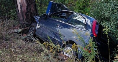 71-latek zginął po uderzeniu autem w drzewo